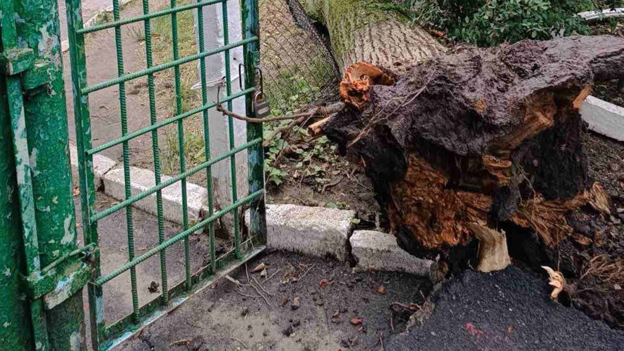 Furtuna de aseară a făcut victime: Două persoane au decedat, după ce au fost strivite de arborii căzuți