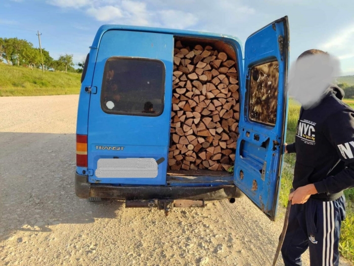 Un caz de transportare ilegală a lemnului, descoperit la Telenești