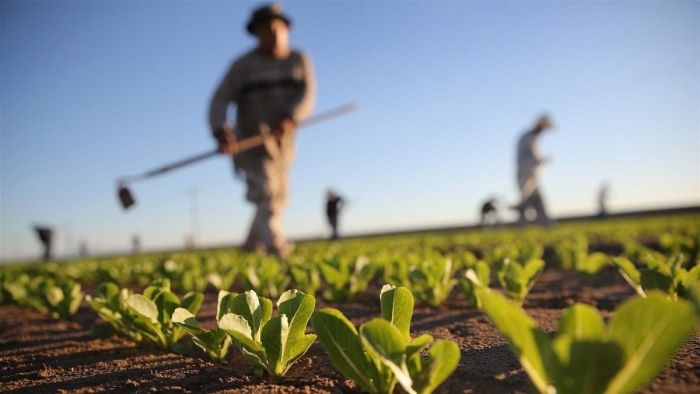 Ministerul Agriculturii, în discuții cu fermieri