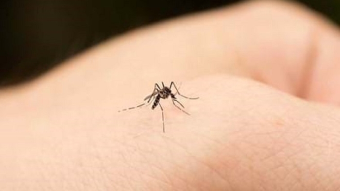 В Молдове выявили два случая заражения вирусом Западного Нила