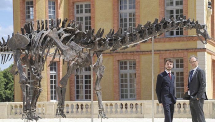 Cu câți bani s-a vândut cel mai mare schelet de dinozaur?