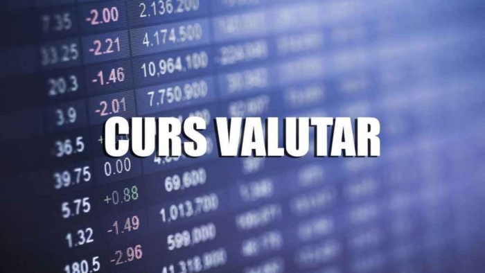 Cursul valutar BNM pentru 31 martie