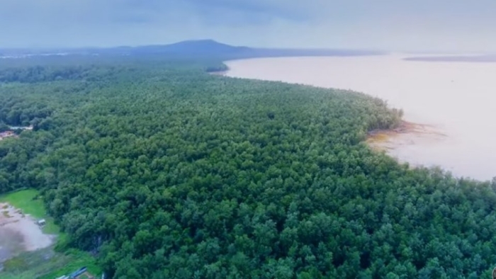 Franța va construi o închisoare de maximă securitate în jungla amazoniană