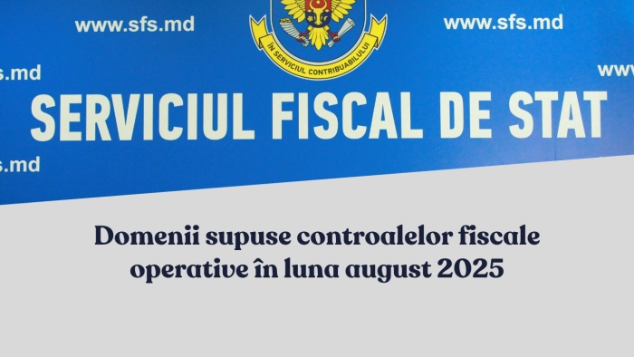 Domenii supuse controalelor fiscale operative in luna august