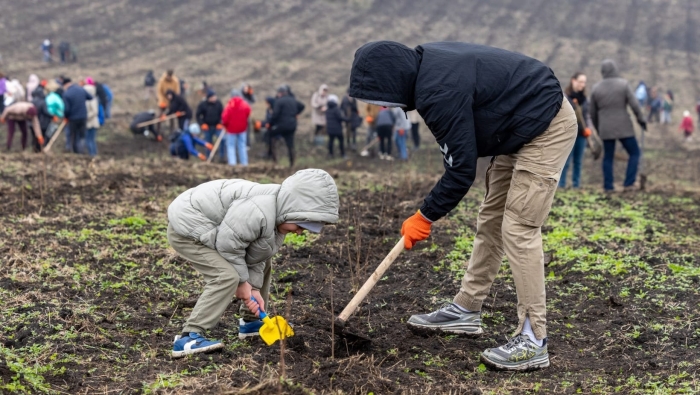 За два дня кампании по лесопосадке было высажено более 1 миллиона саженцев