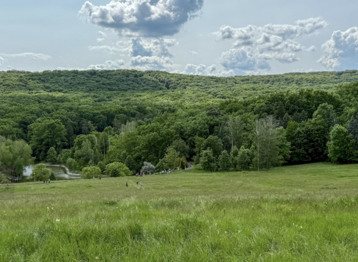 Inventarul pădurilor Moldovei, aplicat cu ajutorul României