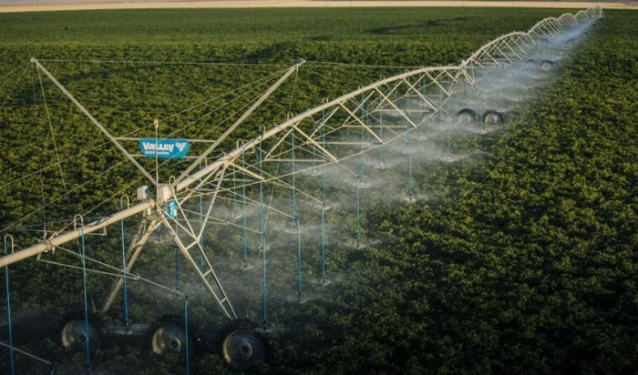 Agricultorii se confruntă cu o provocare comună - lipsa sistemelor de irigare