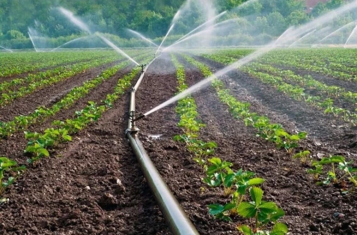 Șapte noi sisteme de irigare vor apărea în Moldova