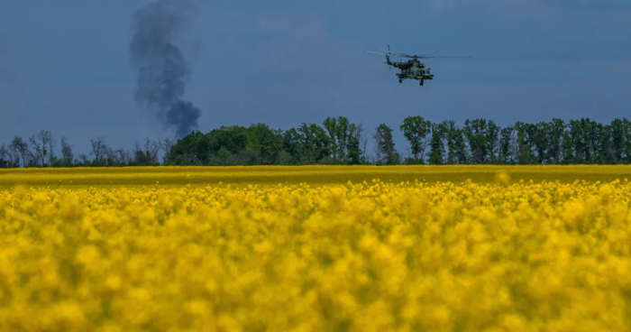 Ucraina: patru ani de rezistență