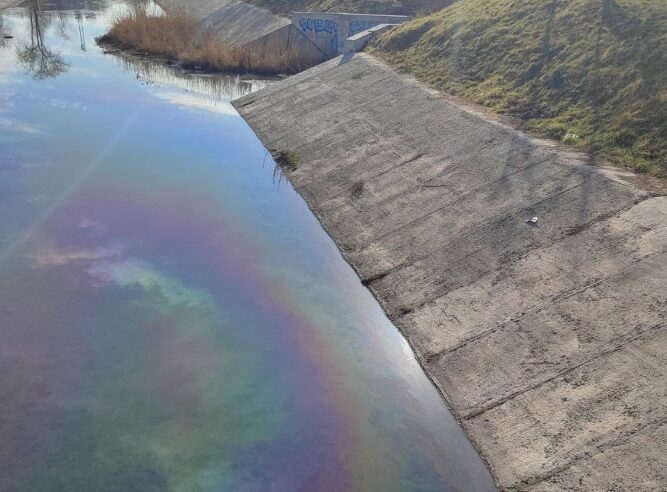 O nouă alertă ecologică pe râul Bîc