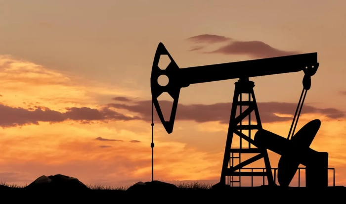Rata de creștere a producției mondiale de petrol se va reduce la jumătate