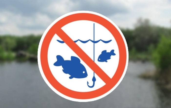 A început perioada de prohibiție la pescuit