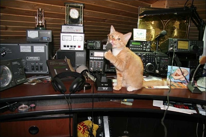 Noi cerințe pentru radioamatori