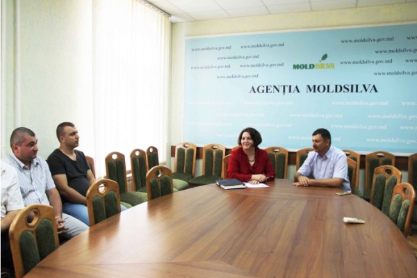 Reforma Moldsilva: mai puțină risipă