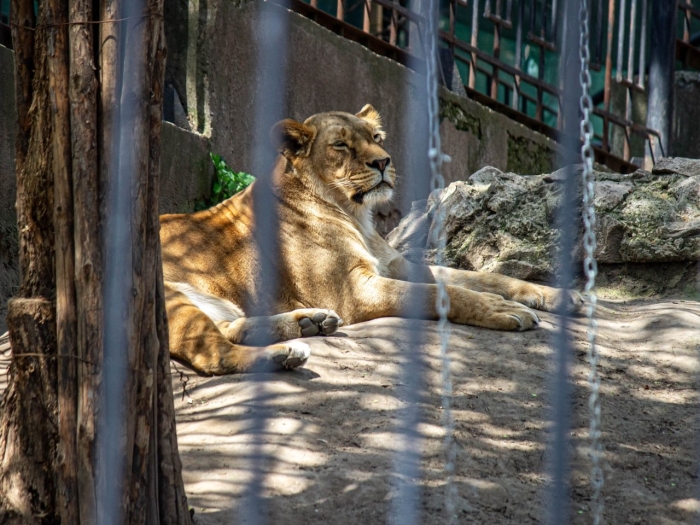 Regulile noi pentru funcționarea grădinilor zoologice