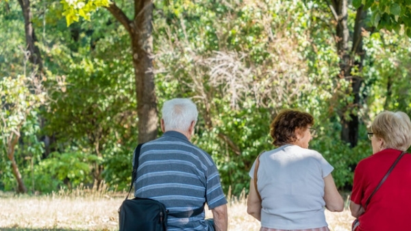 Sistemul public de pensii continuă să se confrunte cu presiuni