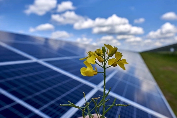 Reducerea taxelor vamale pentru importul de baterii destinate stocării energiei regenerabile