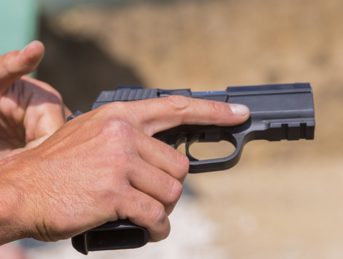 Actele pentru arme civile pot fi solicitate online