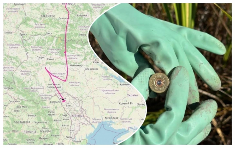 Cinci păsări din specii protejate au fost găsite moarte